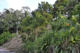 Residential Lot for Sale in Highgate