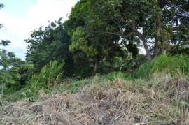 Residential Lot for Sale in Highgate