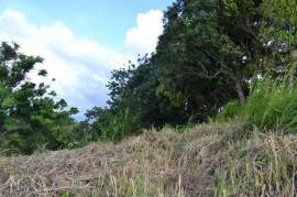 Residential Lot for Sale in Highgate