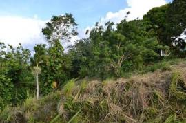 Residential Lot for Sale in Highgate