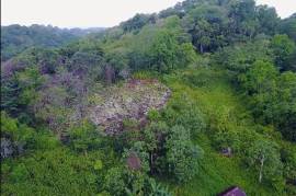 Residential Lot for Sale in Hopeton