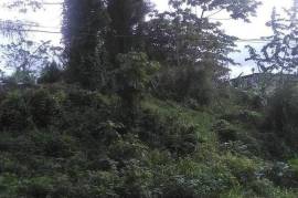 Residential Lot for Sale in Retreat