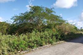 Residential Lot for Sale in May Pen