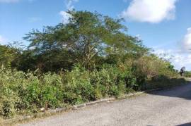 Residential Lot for Sale in May Pen