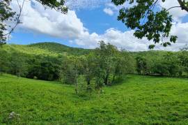 Residential Lot for Sale in Ramble