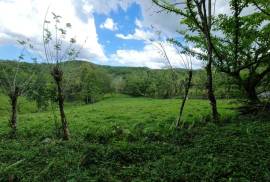 Residential Lot for Sale in Ramble