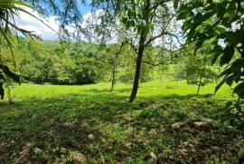 Residential Lot for Sale in Ramble