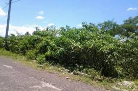 Residential Lot for Sale in Santa Cruz