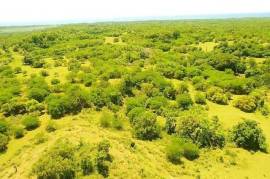 Residential Lot for Sale in Black River