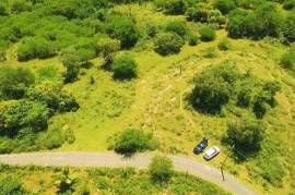 Residential Lot for Sale in Black River