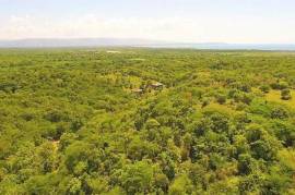 Residential Lot for Sale in Black River