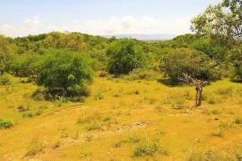 Residential Lot for Sale in Black River