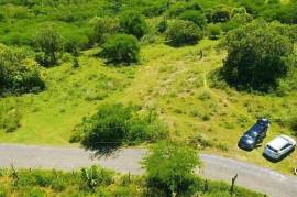 Residential Lot for Sale in Black River