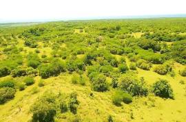 Residential Lot for Sale in Black River