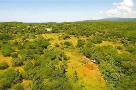 Residential Lot for Sale in Black River