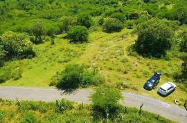 Residential Lot for Sale in Black River