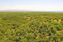 Residential Lot for Sale in Black River
