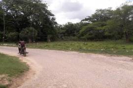 Residential Lot for Sale in Lacovia