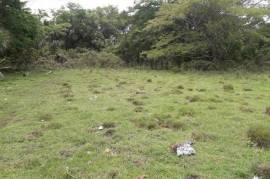 Residential Lot for Sale in Lacovia