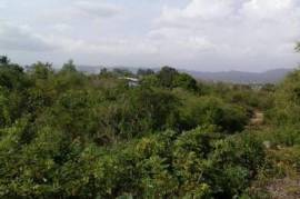 Residential Lot for Sale in May Pen