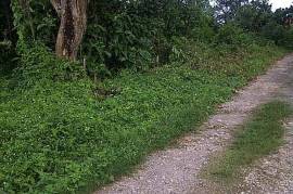 Residential Lot for Sale in Port Maria