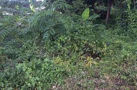 Residential Lot for Sale in Port Maria