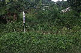 Residential Lot for Sale in Port Maria