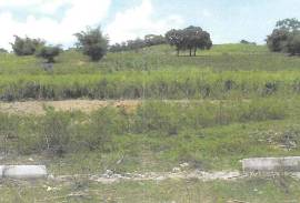 Residential Lot for Foreclosure in Crofts Hill
