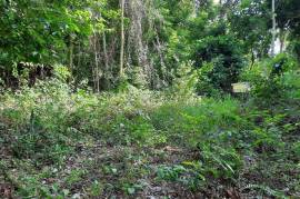 Residential Lot for Sale in Albert Town