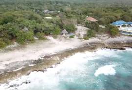 Development Land (Commercial) for Sale in Negril