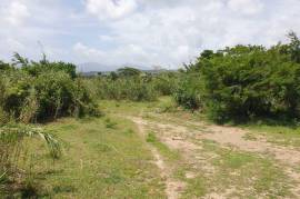 Development Land (Commercial) for Sale in Morant Bay