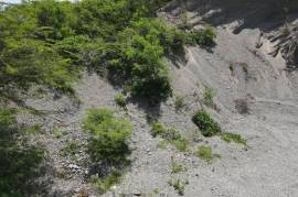 Development Land (Commercial) for Sale in Morant Bay