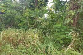 Development Land (Commercial) for Sale in Ocho Rios