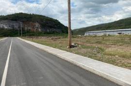 Development Land (Commercial) for Sale in Kingston 20