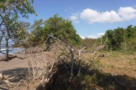 Development Land (Residential) for Sale in Treasure Beach