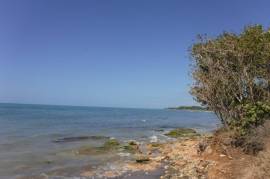 Development Land (Residential) for Sale in Treasure Beach