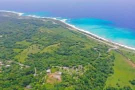 Development Land (Residential) for Sale in Buff Bay