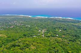 Development Land (Residential) for Sale in Buff Bay