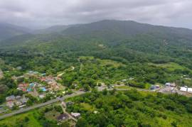 Development Land (Residential) for Sale in Buff Bay