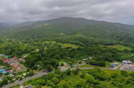 Development Land (Residential) for Sale in Buff Bay