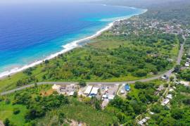 Development Land (Residential) for Sale in Buff Bay