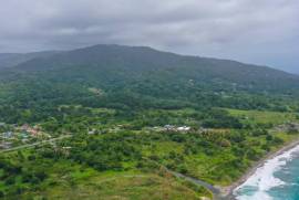 Development Land (Residential) for Sale in Buff Bay