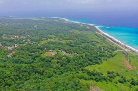 Development Land (Residential) for Sale in Buff Bay