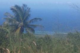 Development Land (Residential) for Sale in St. Ann's Bay