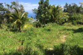 Development Land (Residential) for Sale in St. Ann's Bay