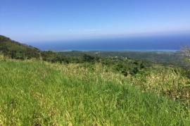 Development Land (Residential) for Sale in St. Ann's Bay