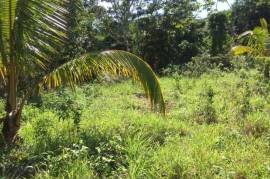 Development Land (Residential) for Sale in St. Ann's Bay