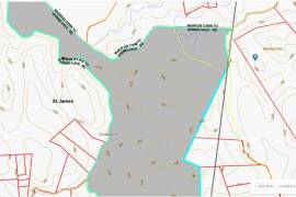 Development Land (Residential) for Sale in Maroon Town