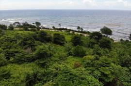 Development Land (Residential) for Sale in Long Bay