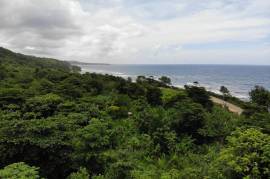 Development Land (Residential) for Sale in Long Bay